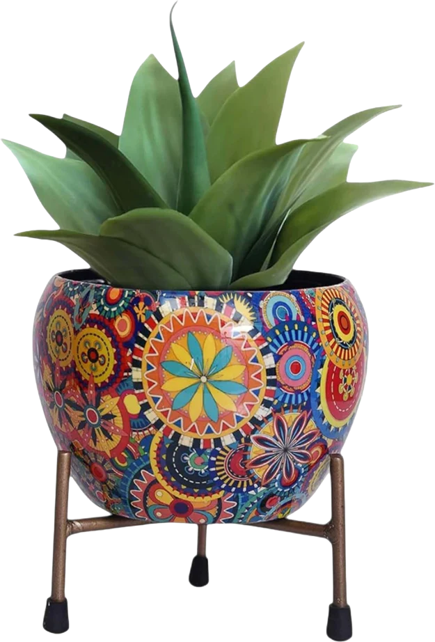 Home Décor