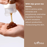 Isntree Green Tea Fresh Cleanser - 120 ml