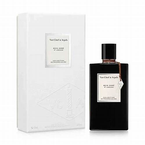 فان كليف اند اربلز بويز دور رجالي ت 75 مل